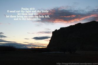 Psalm43.3